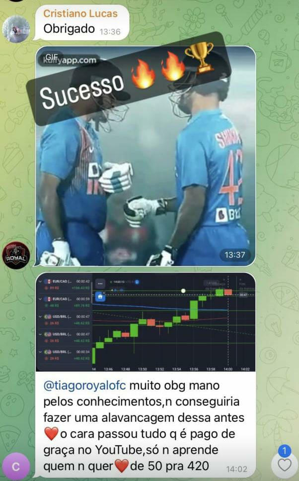 Feedback de sucesso — resultado 11